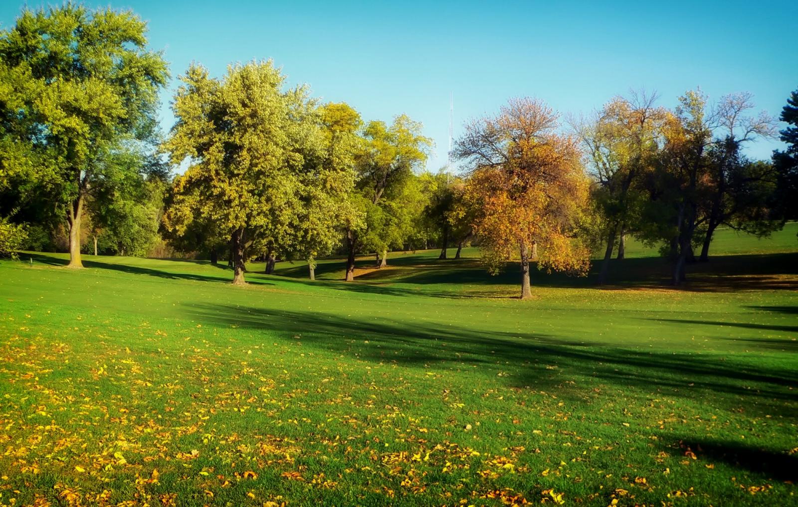 Parkland. Photo credit: Pexels