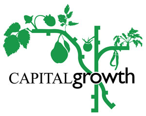 (c) Capitalgrowth.org