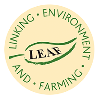 LEAF logo