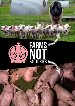 Farms not Factories poster