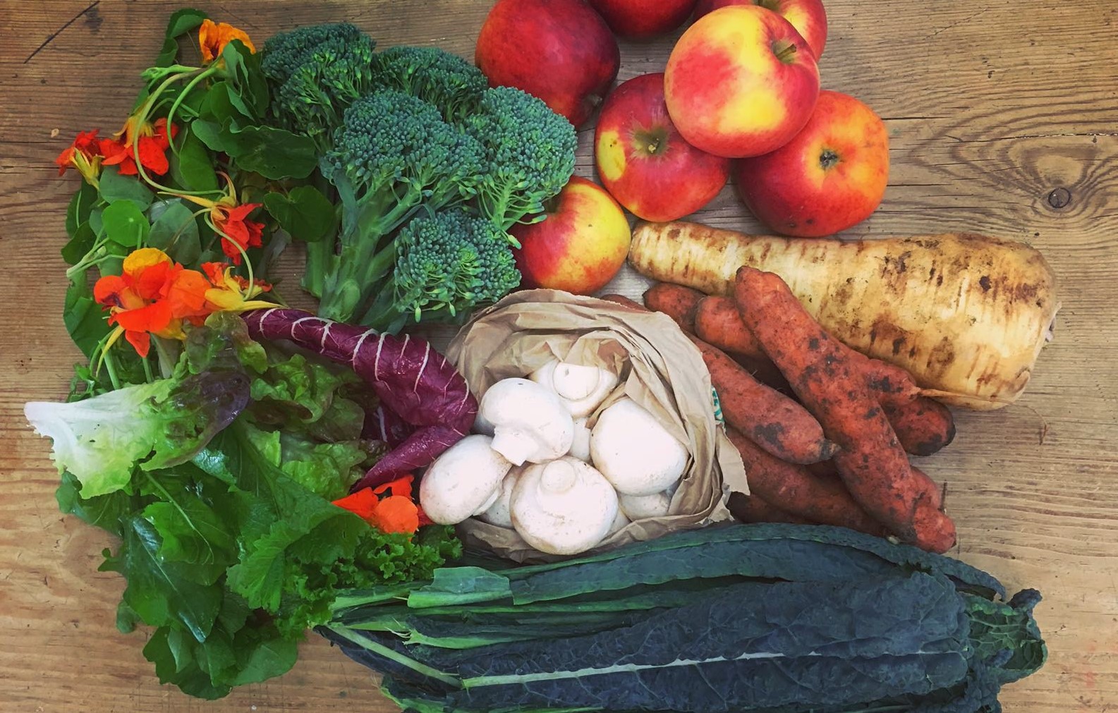 Plants galore from Kentish Town Vegbox, a Better Food Trader