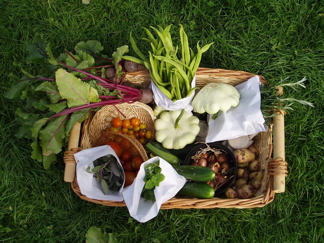 Photo Credit: Arkwright Meadows Community Gardens