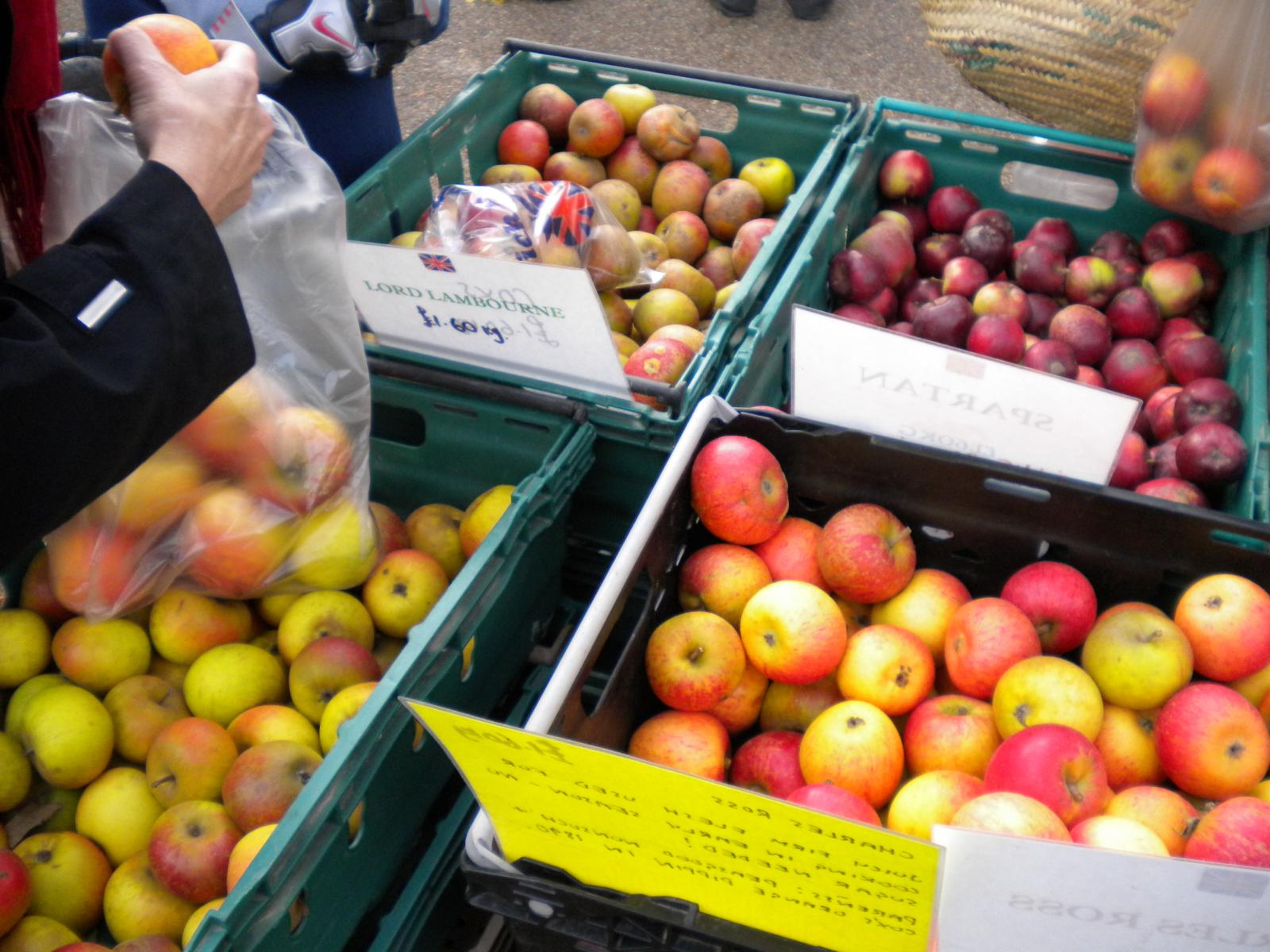 Apples. Photo credit: Sustain