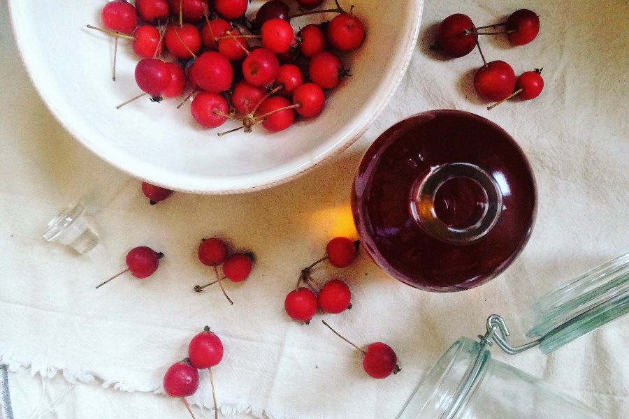 Pop-up Ferments at The Table Café with Rachel de Thample