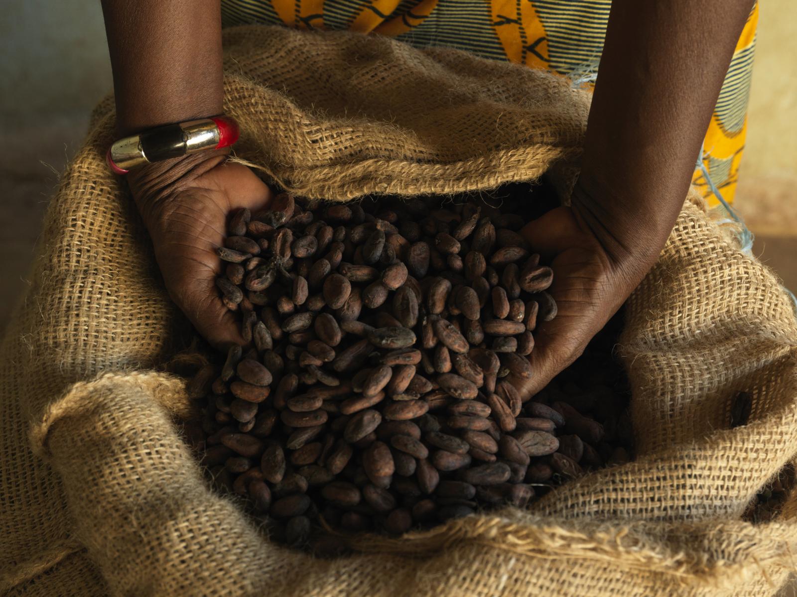 Cocoa beans in hands. Photo credit: The Fairtrade Foundation