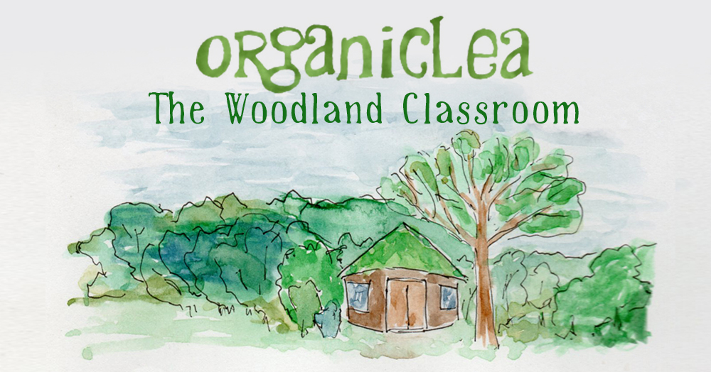 Woodland classroom. Photo credit: OrganicLea