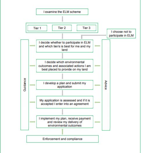 DEFRA visualisation of how a land manager might walk through the scheme