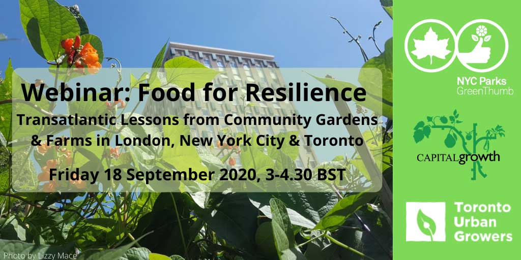 Picture: Lizzy Mace at Cranbrook Community Food Garden, London