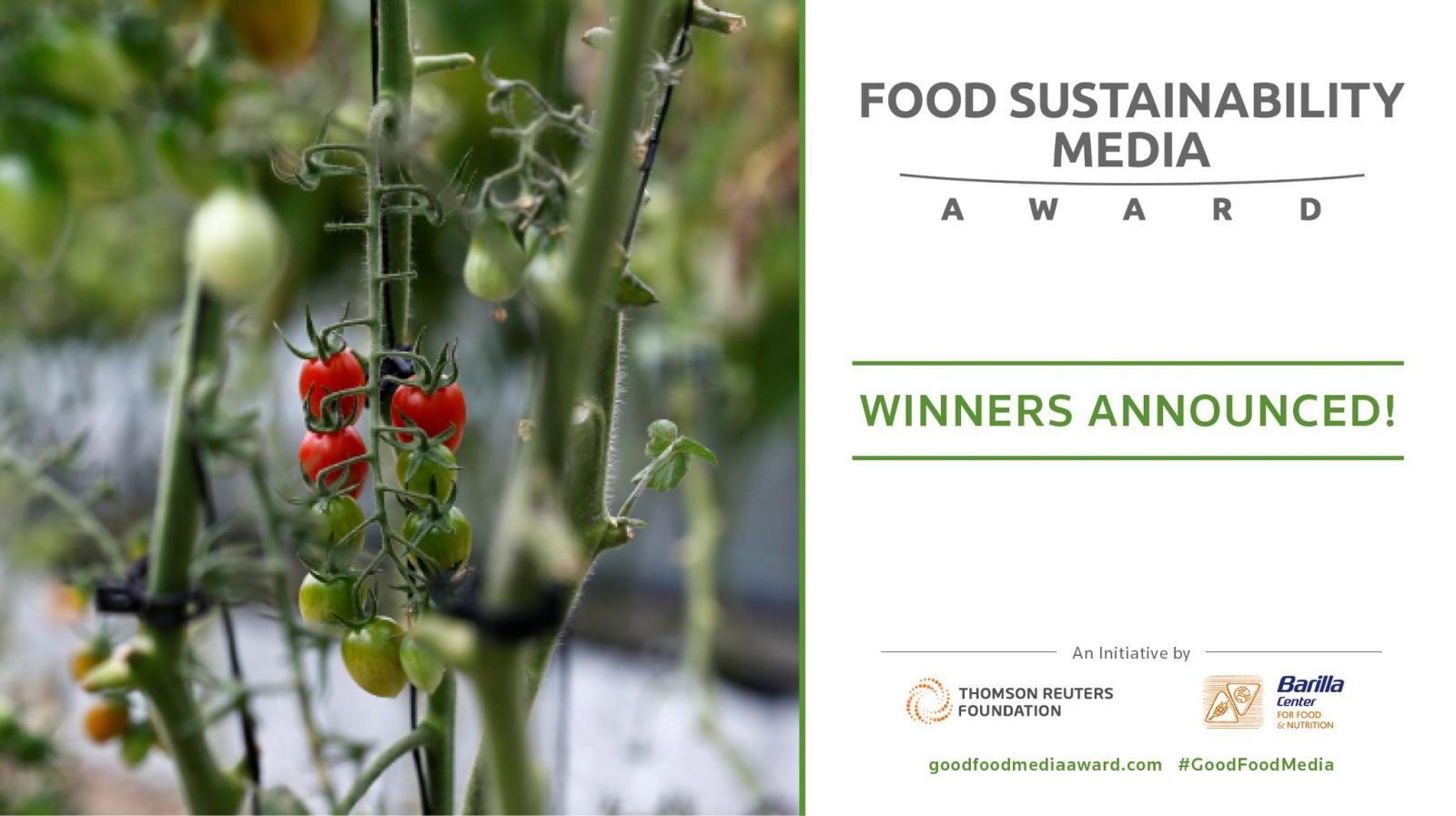 Image from the Food Sustainability Media Award