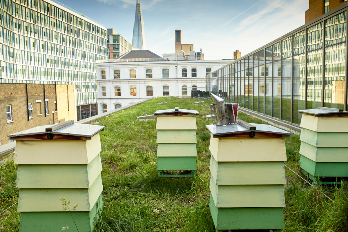 Bermondsey Street Bees