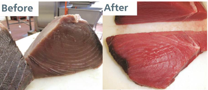 Chemically coloured tuna. Photo credit Europol