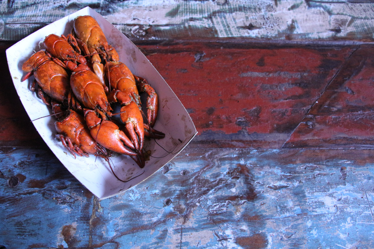 Crayfish Bob’s Louisiana Crawfish Boil  by Chris Young / www.thejelliedeel.org CC-BY-SA 4.0