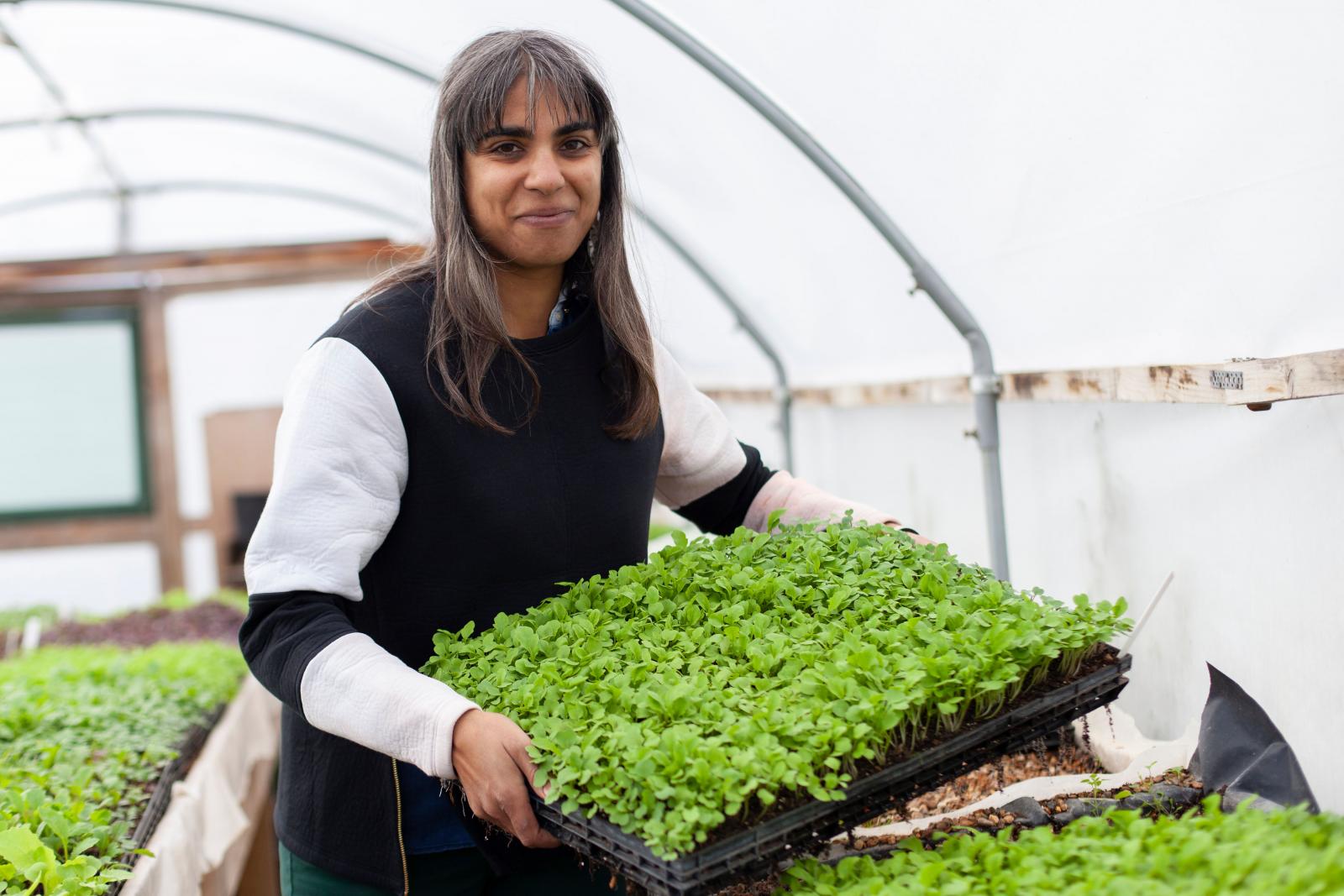 Seeta Rajani, Grower and Enfield Veg Co. Coordinator. Credit: Zoe WA Photography