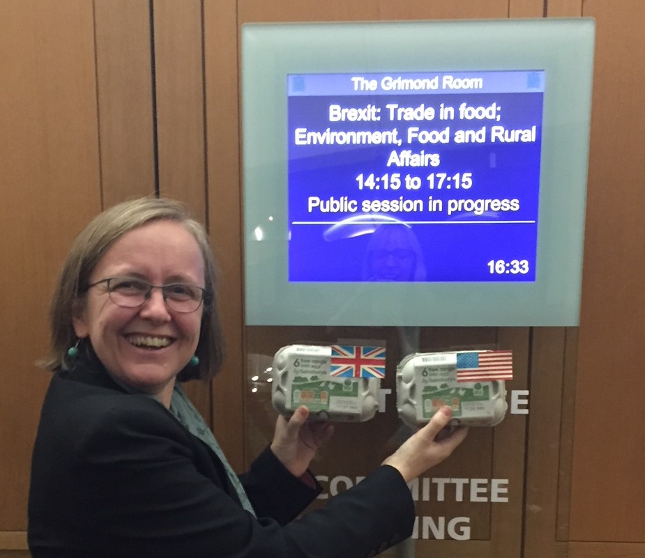 Sustain's Kath Dalmeny shows eggbox props used in oral evidence to the EFRA Committee, illustrating comparative salmonella rates in UK and US eggs