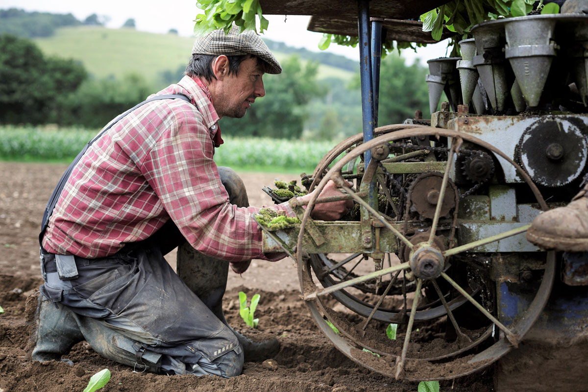 Martin at Ripple Farm Organics by Miles Willis